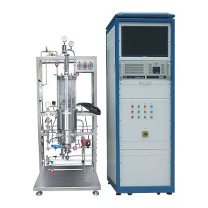 Lufthebe-Glasfermenter