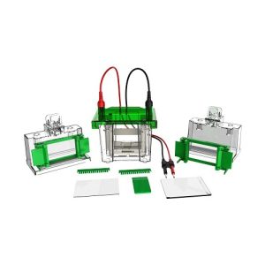 Mini-Vertikal-Elektrophoresekammer