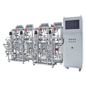 Mehrere parallele Edelstahlfermenter