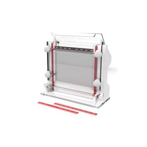 Nukleinsäuresequenzierung Elektrophorese Zelle